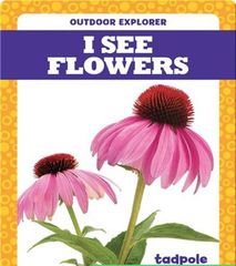 Outdoor Explorer 44 I See Flowers -- 绘本听读宝在线台词全文