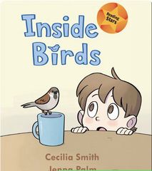 Reading Stars 33 Reading Stars: Inside Birds -- 绘本听读宝在线台词全文