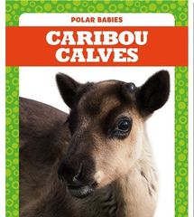 Polar Babies 28 Polar Babies: Caribou Calves -- 绘本听读宝在线台词全文