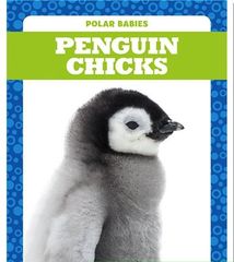 Polar Babies 31 Polar Babies: Penguin Chicks -- 绘本听读宝在线台词全文