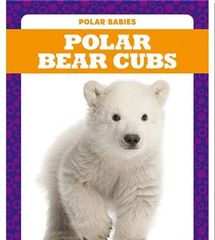 Polar Babies 32 Polar Babies: Polar Bear Cubs -- 绘本听读宝在线台词全文