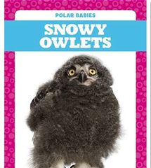 Polar Babies 33 Polar Babies: Snowy Owlets -- 绘本听读宝在线台词全文