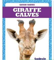 Safari Babies 27 Giraffe Calves -- 绘本听读宝在线台词全文