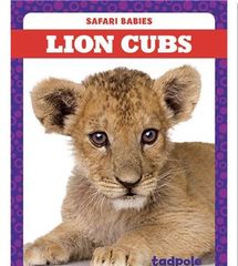 Safari Babies 29 Lion Cubs -- 绘本听读宝在线台词全文