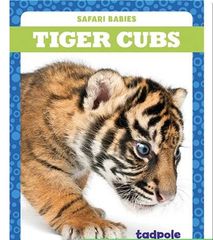Safari Babies 30 Tiger Cubs -- 绘本听读宝在线台词全文