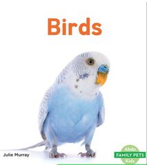 Family Pets 59 Birds -- 绘本听读宝在线台词全文