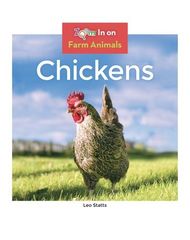 Farm Animals 38 Chickens -- 绘本听读宝在线台词全文