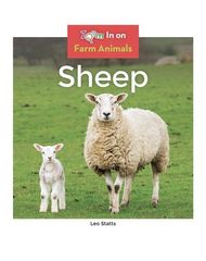Farm Animals 44 Sheep -- 绘本听读宝在线台词全文