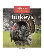 Farm Animals 45 Turkeys -- 绘本听读宝在线台词全文