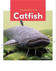 Freshwater Fish 43 Freshwater Fish: Catfish -- 绘本听读宝在线台词全文