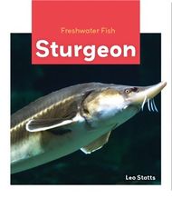 Freshwater Fish 47 Freshwater Fish: Sturgeon -- 绘本听读宝在线台词全文