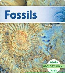 Geology Rocks! Set 1 71 Fossils -- 绘本听读宝在线台词全文