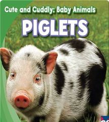 Cute and Cuddly: Baby Animals 2 Cute and Cuddly: Piglets -- 绘本听读宝在线台词全文
