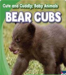 Cute and Cuddly: Baby Animals 56 Cute and Cuddly: Bear Cubs -- 绘本听读宝在线台词全文