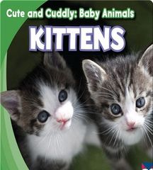 Cute and Cuddly: Baby Animals 59 Cute and Cuddly: Kittens -- 绘本听读宝在线台词全文