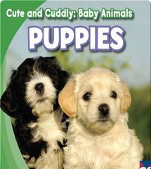 Cute and Cuddly: Baby Animals 4 Cute and Cuddly: Puppies -- 绘本听读宝在线台词全文