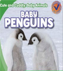 Cute and Cuddly: Baby Animals 6 Cute and Cuddly: Baby Penguins -- 绘本听读宝在线台词全文