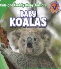Cute and Cuddly: Baby Animals 7 Cute and Cuddly: Baby Koalas -- 绘本听读宝在线台词全文