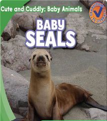 Cute and Cuddly: Baby Animals 8 Cute and Cuddly: Baby Seals -- 绘本听读宝在线台词全文