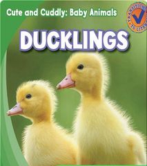 Cute and Cuddly: Baby Animals 9 Cute and Cuddly: Ducklings -- 绘本听读宝在线台词全文