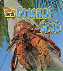Even Weirder and Cuter 15 Coconut Crab -- 绘本听读宝在线台词全文