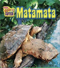 Even Weirder and Cuter 16 Matamata -- 绘本听读宝在线台词全文