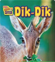 Even Weirder and Cuter 18 Dik-Dik -- 绘本听读宝在线台词全文