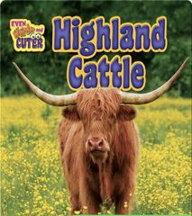 Even Weirder and Cuter 19 Highland Cattle -- 绘本听读宝在线台词全文
