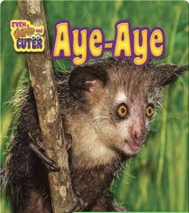 Even Weirder and Cuter 20 Aye-Aye -- 绘本听读宝在线台词全文