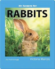 My Favorite Pets 19 My Favorite Pet: Rabbits -- 绘本听读宝在线台词全文