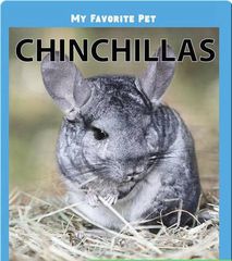 My Favorite Pets 32 My Favorite Pet: Chinchillas -- 绘本听读宝在线台词全文