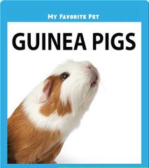 My Favorite Pets 11 My Favorite Pet: Guinea Pigs -- 绘本听读宝在线台词全文