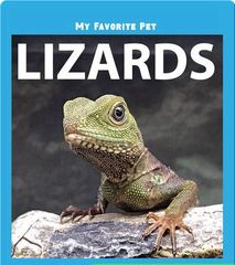 My Favorite Pets 13 My Favorite Pet: Lizards -- 绘本听读宝在线台词全文