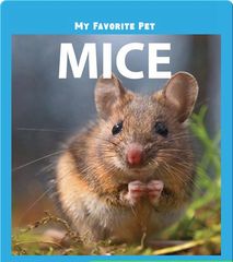 My Favorite Pets 15 My Favorite Pet: Mice -- 绘本听读宝在线台词全文