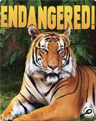 GreenEarthScienceDiscovery Endangered! -- 绘本听读宝在线台词全文
