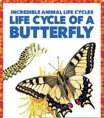 Incredible Animal Life Cycles 11 Life Cycle of a Butterfly -- 绘本听读宝在线台词全文