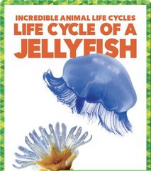 Incredible Animal Life Cycles 15 Life Cycle of a Jellyfish -- 绘本听读宝在线台词全文