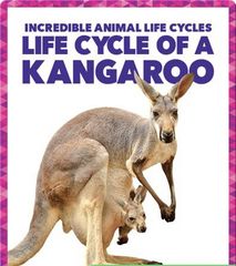 Incredible Animal Life Cycles 16 Life Cycle of a Kangaroo -- 绘本听读宝在线台词全文