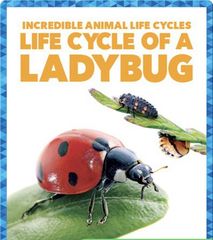 Incredible Animal Life Cycles 17 Life Cycle of a Ladybug -- 绘本听读宝在线台词全文