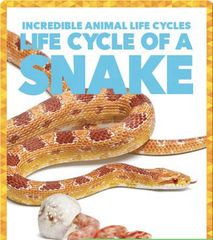 Incredible Animal Life Cycles 18 Life Cycle of a Snake -- 绘本听读宝在线台词全文