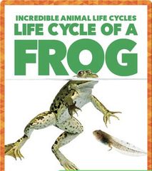 Incredible Animal Life Cycles 37 Life Cycle of a Frog -- 绘本听读宝在线台词全文