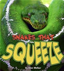 iscience jr.® 22 Snakes That Squeeze -- 绘本听读宝在线台词全文