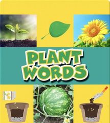 iscience jr.® 47 Plant Words -- 绘本听读宝在线台词全文