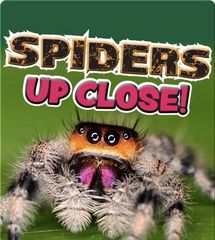 iscience jr.® 50 Spiders Up Close -- 绘本听读宝在线台词全文