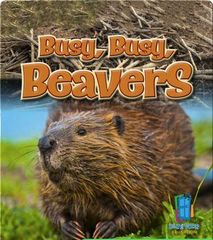 iscience jr.® 58 Busy, Busy, Beavers -- 绘本听读宝在线台词全文