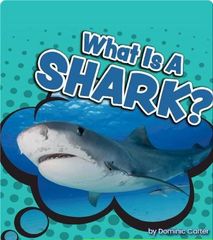 iscience jr.® 63 What Is a Shark? -- 绘本听读宝在线台词全文