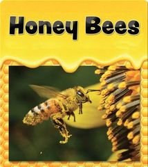 iscience jr.® 44 Honey Bees -- 绘本听读宝在线台词全文