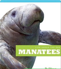 Life Under The Sea 53 Life Under The Sea_ Manatees -- 绘本听读宝在线台词全文