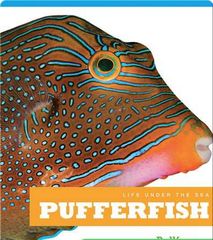 Life Under The Sea 54 Life Under The Sea_ Pufferfish -- 绘本听读宝在线台词全文
