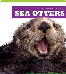 Life Under The Sea 55 Life Under The Sea_ Sea Otters -- 绘本听读宝在线台词全文